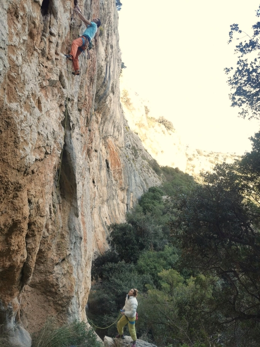 Supružnici Lisica u debeloj ladovini livih ploča centrale.